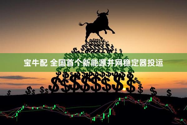 宝牛配 全国首个新能源并网稳定器投运